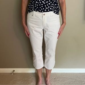 White House Black Market capris